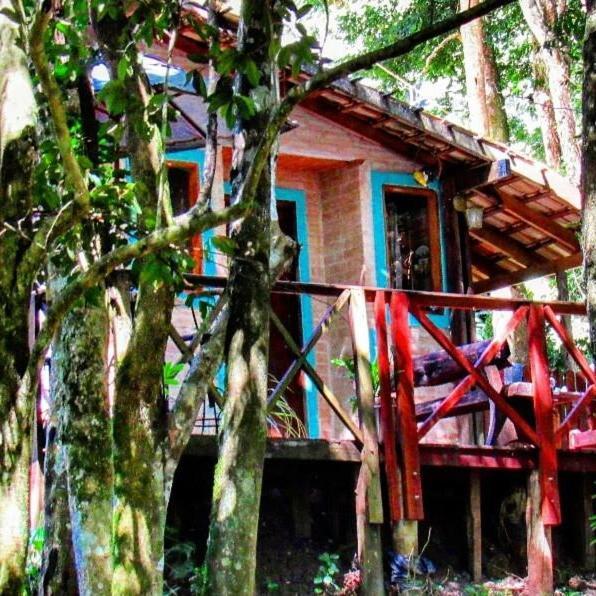 Casa Aconchegante Na Serra. Santo Antônio do Pinhal Exteriér fotografie