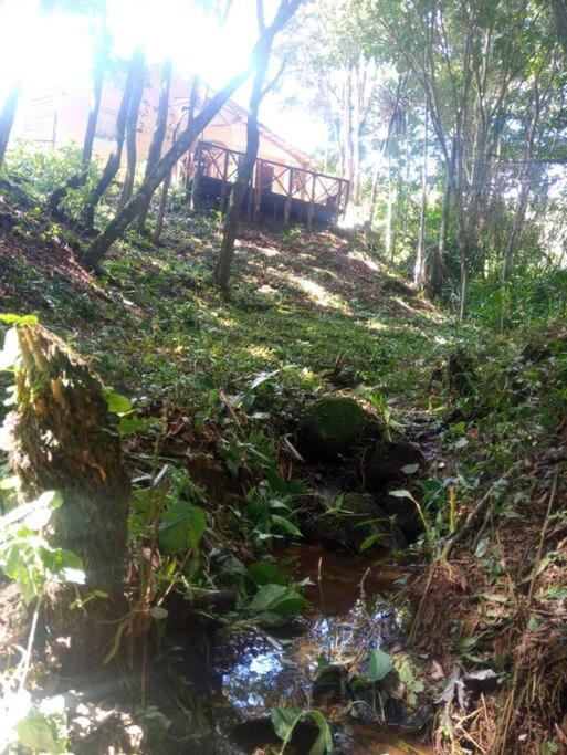 Casa Aconchegante Na Serra. Santo Antônio do Pinhal Exteriér fotografie